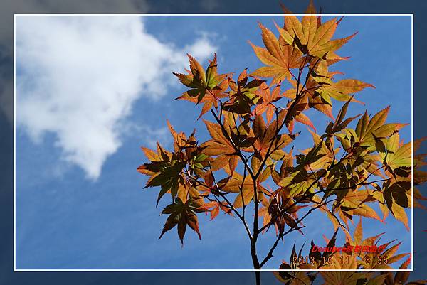 20131011京都 (34).jpg