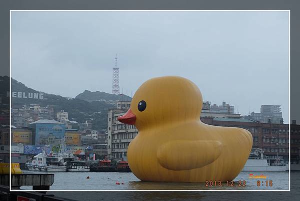 20131222黃色小鴉在基隆海洋廣場 (3).jpg