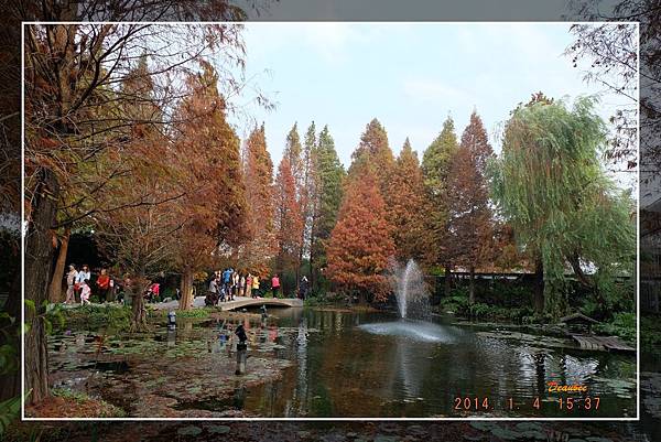 20140104彰化田尾菁芳園.jpg