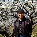 20140203初四薑麻園走春賞花 (9).jpg