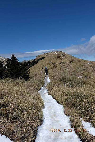 20140222合歡山玩雪趣 (67).jpg