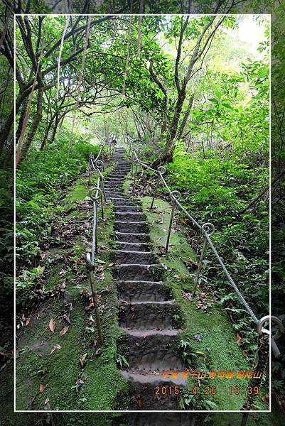 20150426新北平溪孝子山慈母峰普陀山 (3).jpg