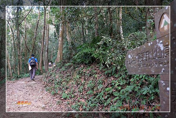 20151129馬那邦山 (18)