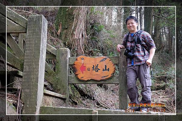 20160403 阿里山賞櫻及爬大塔山  (17).jpg