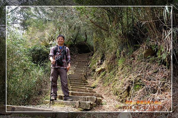 20160403 阿里山賞櫻及爬大塔山  (33).jpg