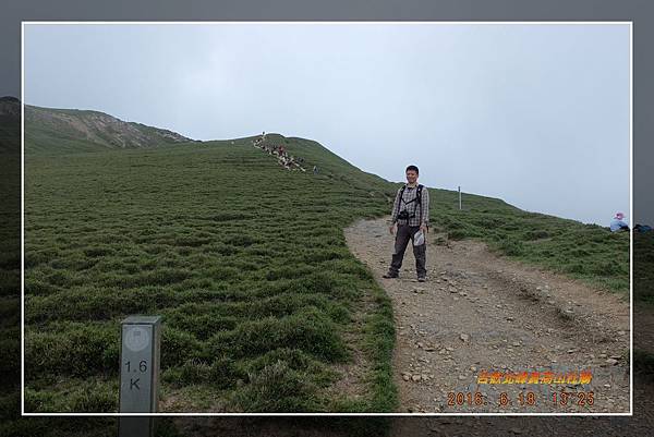 20160618合歡北峰賞高山杜鵑 (22)