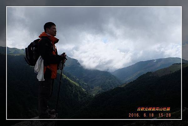 20160618合歡北峰賞高山杜鵑 (29)