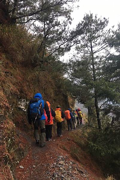 20170309-10 雪登玉山-2-登山口到排雲山莊  (15)