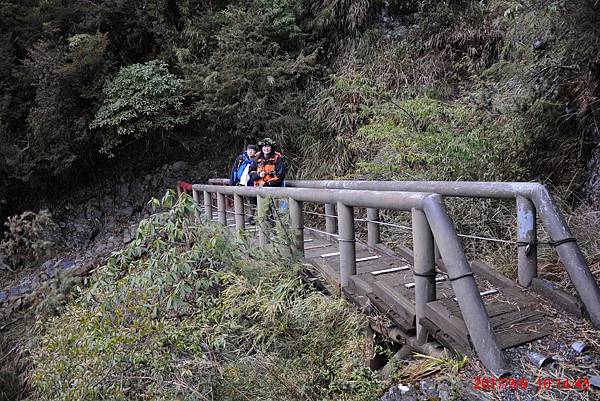 20170309-10 雪登玉山-2-登山口到排雲山莊  (28)