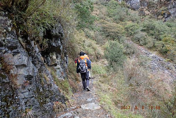 20170309-10 雪登玉山-2-登山口到排雲山莊  (32)