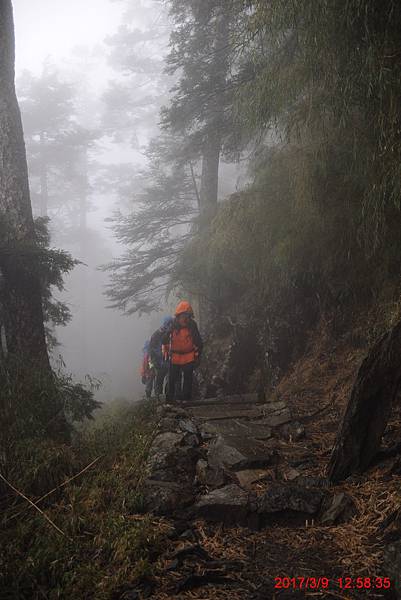 20170309-10 雪登玉山-2-登山口到排雲山莊  (45)