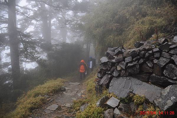 20170309-10 雪登玉山-2-登山口到排雲山莊  (50)