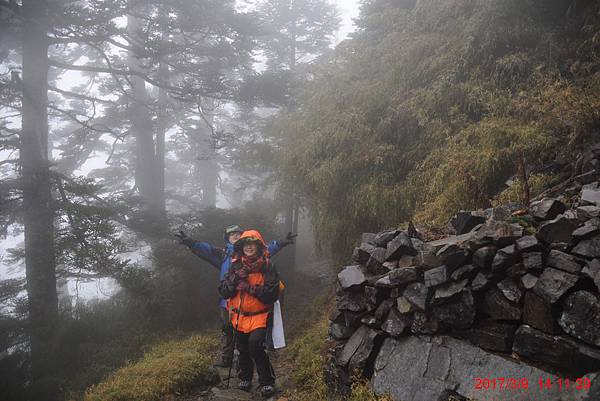 20170309-10 雪登玉山-2-登山口到排雲山莊  (51)