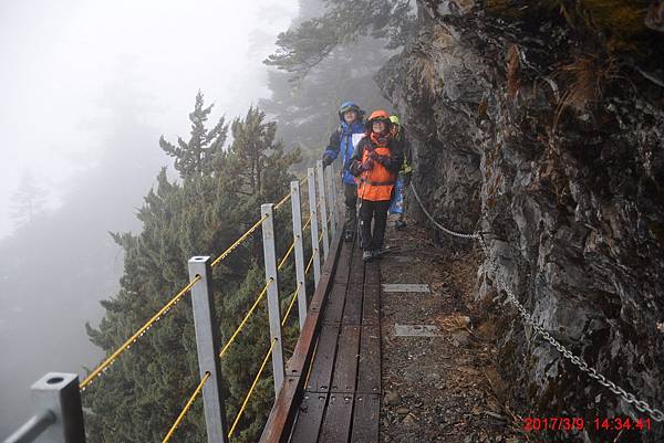 20170309-10 雪登玉山-2-登山口到排雲山莊  (52)