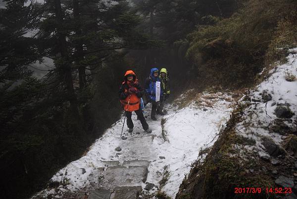 20170309-10 雪登玉山-2-登山口到排雲山莊  (59)