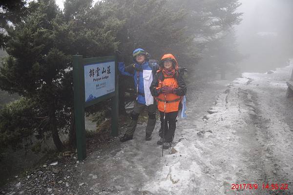 20170309-10 雪登玉山-2-登山口到排雲山莊  (62)