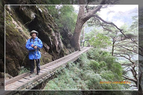 登玉山主峰 (98).jpg