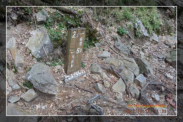 登玉山主峰 (111).jpg