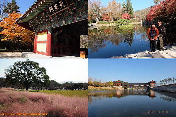 20191115-18慶州釜山杏黃楓紅小旅行.jpg