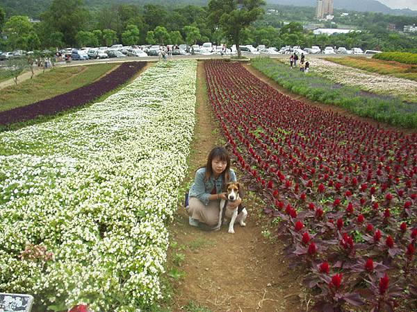 20050529-大溪花海農場/P1010083