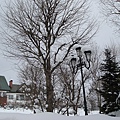 北海道之旅20080127 237.jpg