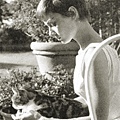  Hepburn audrey 