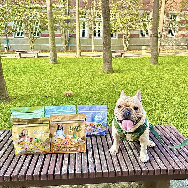 【開箱】莫比自然食 Mobby Choice⎟狗食譜升級⎟高