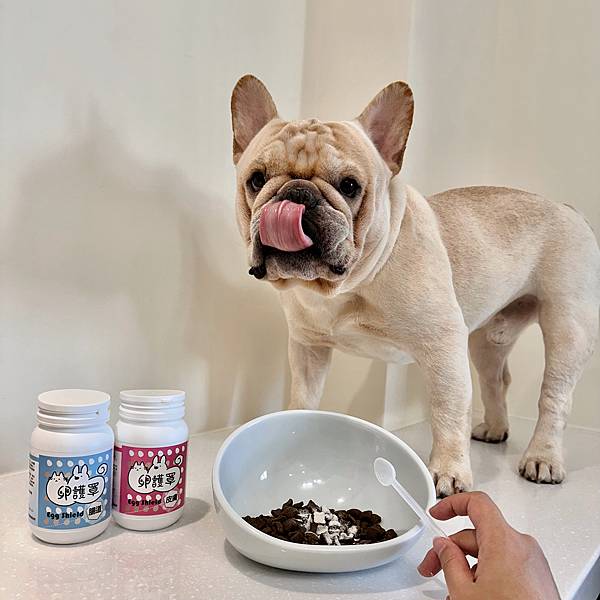 【開箱】卵護罩⎟專利卵殼膜補充多種蛋白質⎟腸道、皮膚養護配方