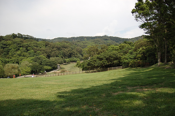 DSC_0037.JPG