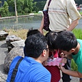 IMG_7323.JPG