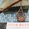 IMG_7448.JPG