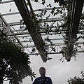 IMG_7528.JPG