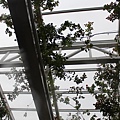 IMG_7530.JPG