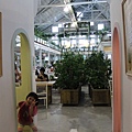 IMG_7543.JPG