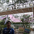 IMG_7555.JPG