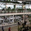 IMG_7571.JPG