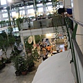 IMG_7573.JPG