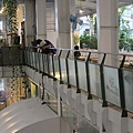 IMG_7574.JPG