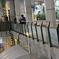 IMG_7575.JPG