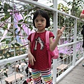 IMG_7618.JPG
