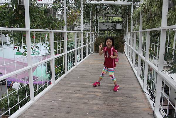 IMG_7620.JPG
