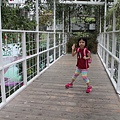 IMG_7620.JPG