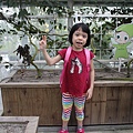 IMG_7636.JPG
