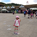IMG_5317.jpg