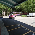 IMG_5325.jpg
