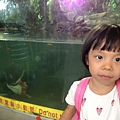 IMG_5353.jpg
