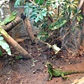 IMG_5372.jpg