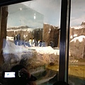 IMG_5380.jpg