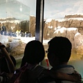IMG_5382.jpg