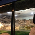 IMG_5384.jpg